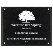 Black AcrylaStone Exterior Plaque with Holes